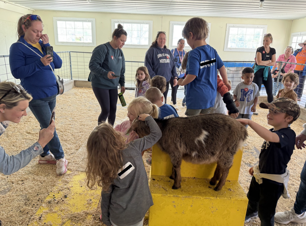 students petting animals