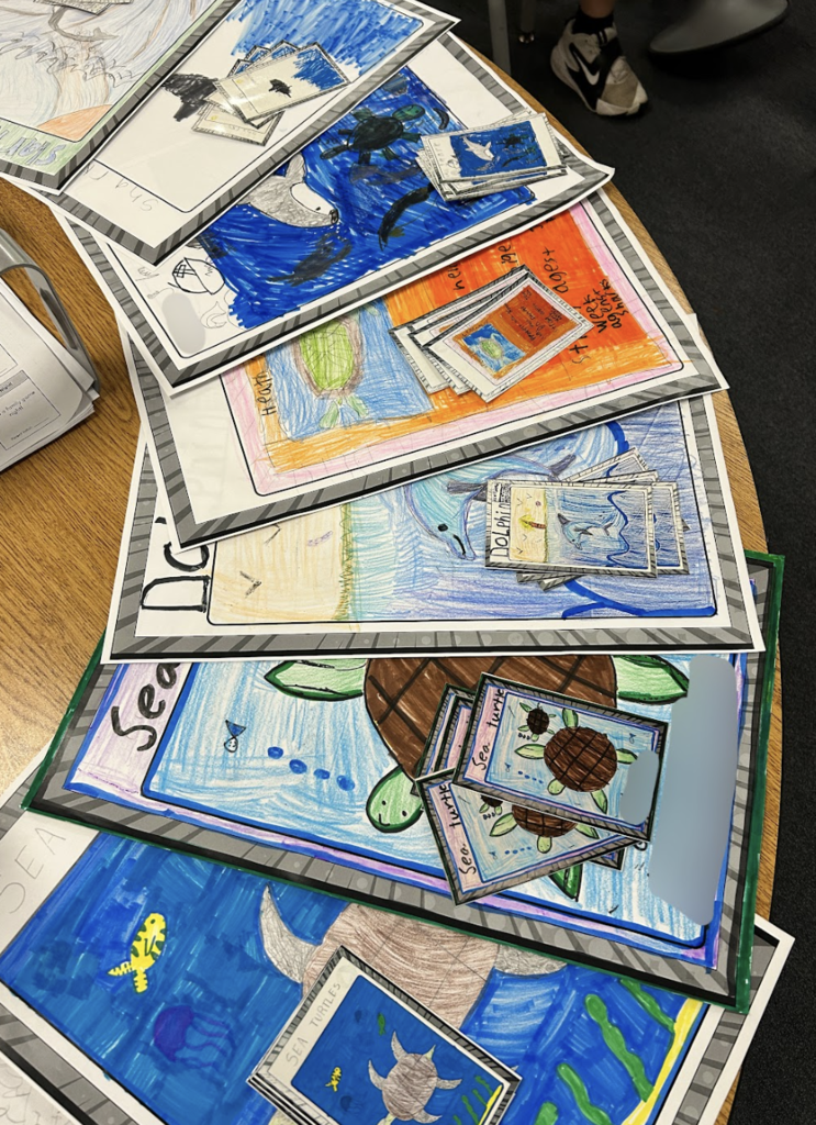 3rd grade showcase of projects