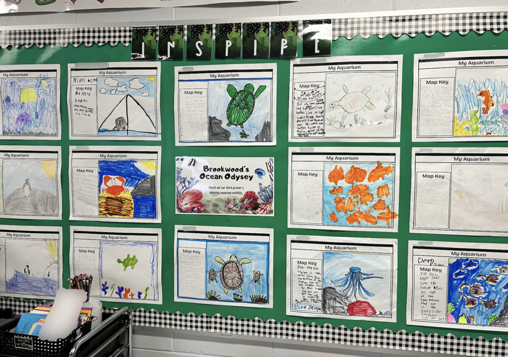3rd grade showcase