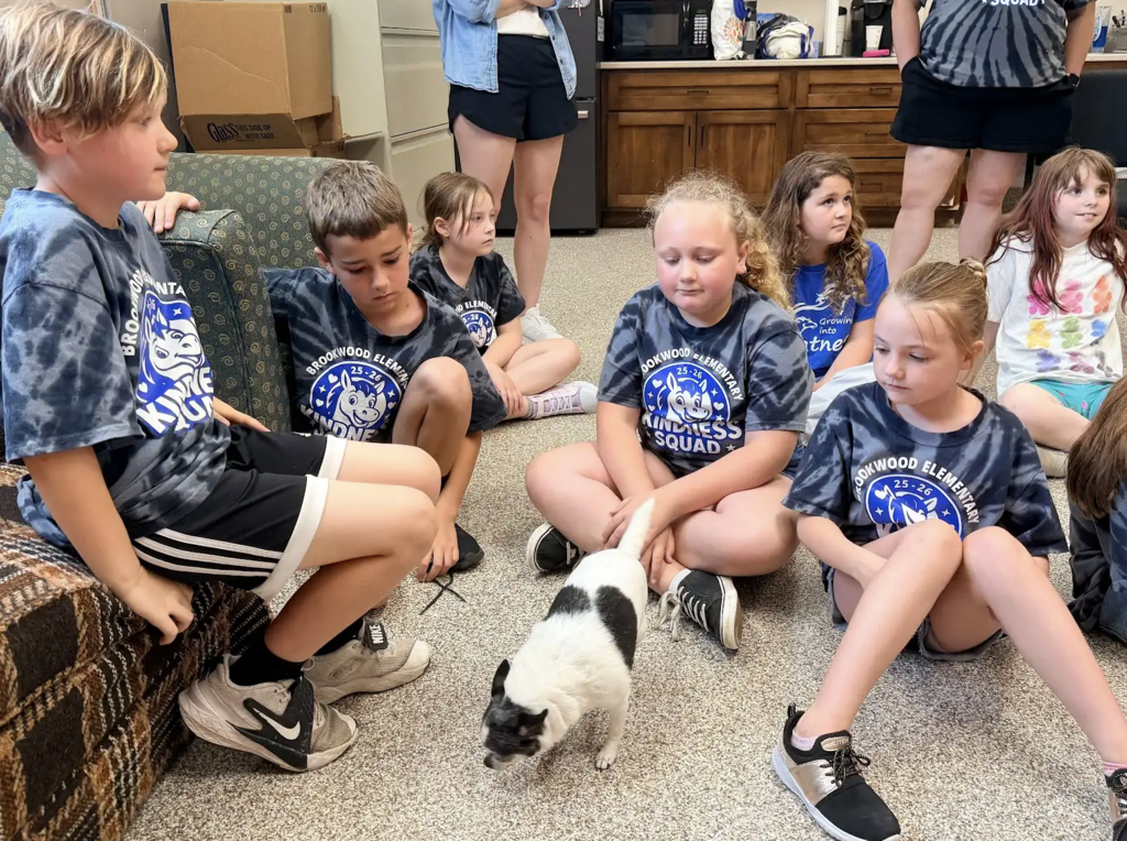 3rd Grade Kindness Squad goes to Lakeland Animal Shelter 7