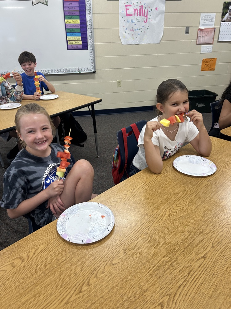 fruit kabobs 8