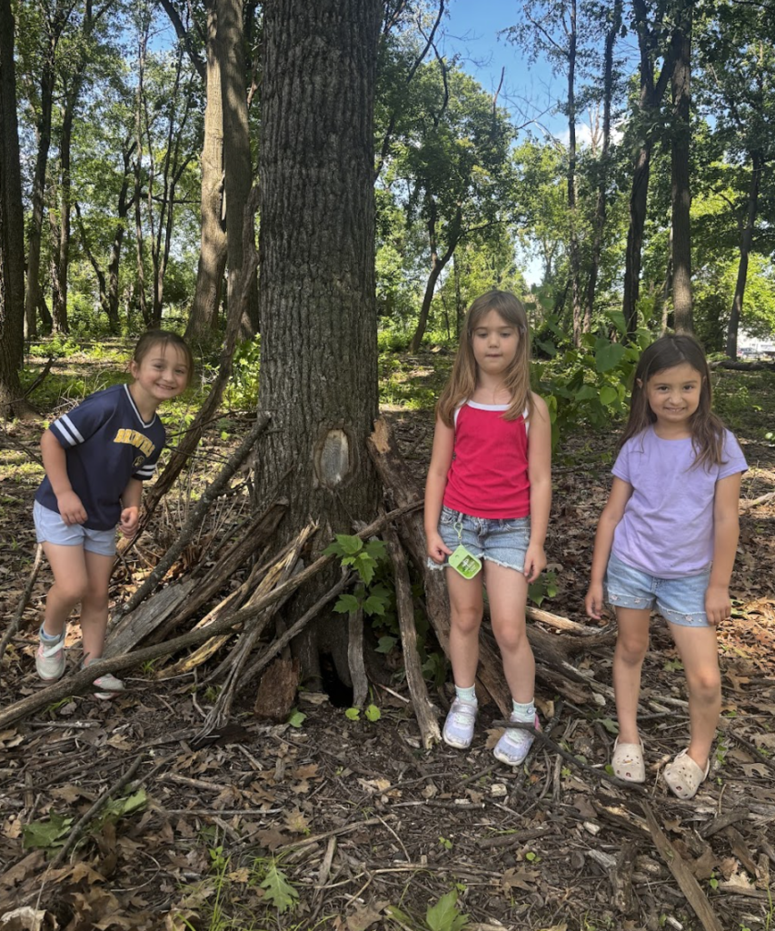 Summer Forestry 4