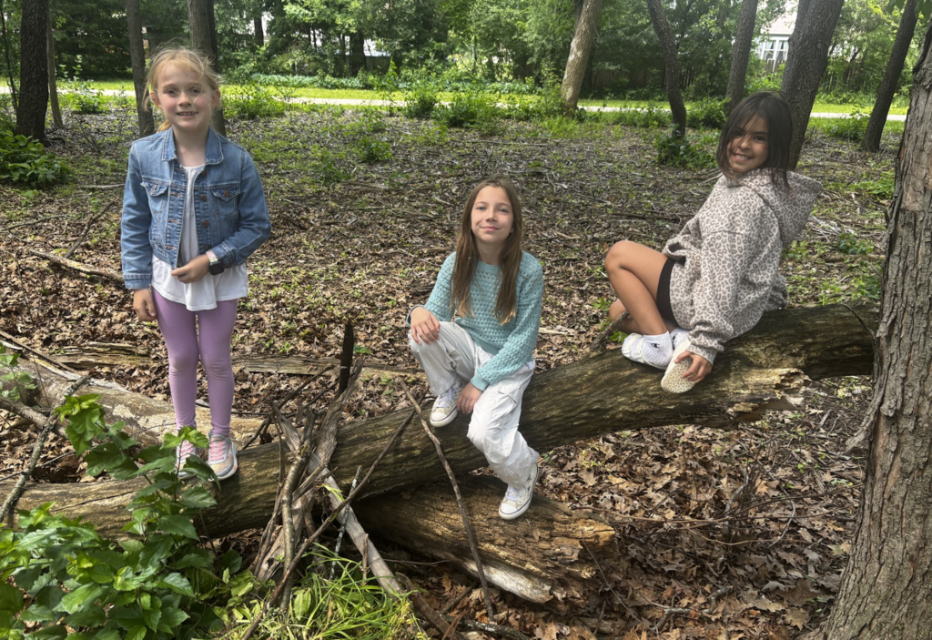 Summer Forestry 8