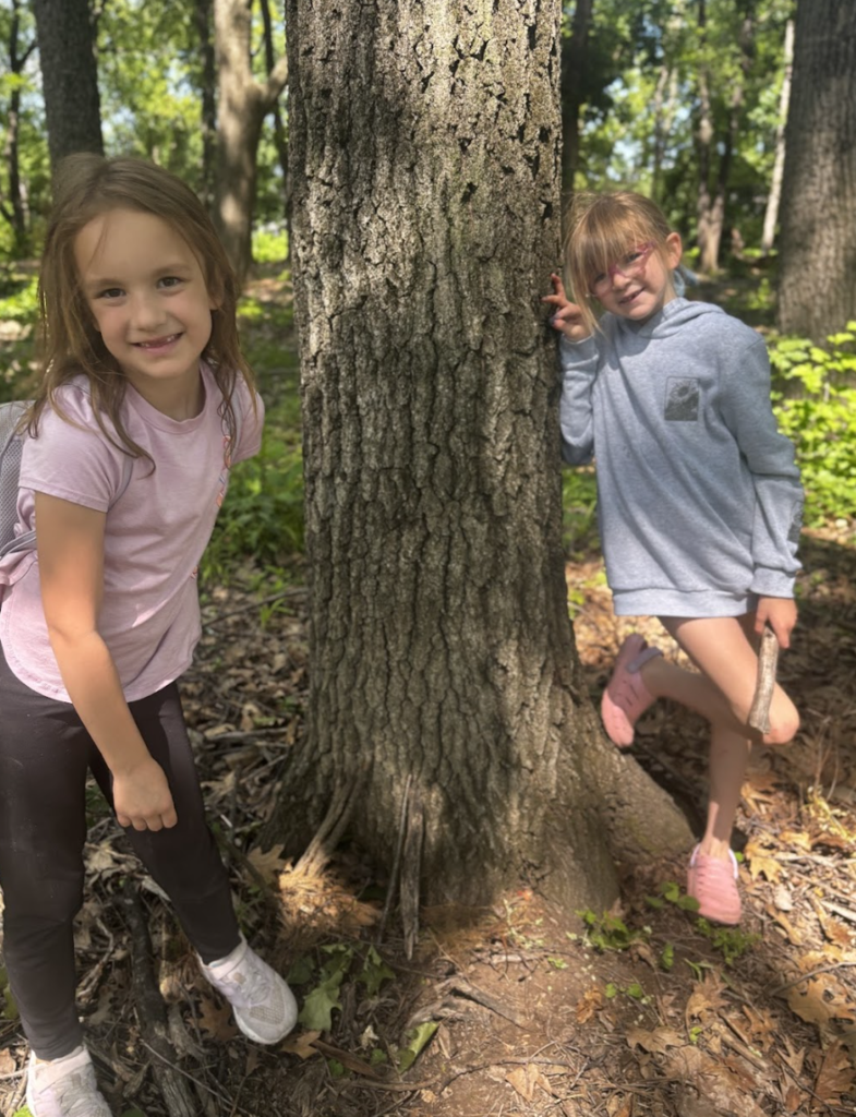 Summer Forestry 6