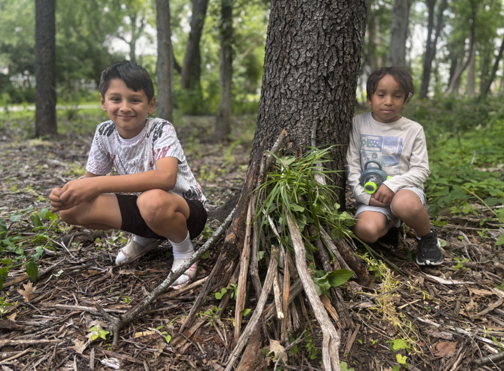 Summer Forestry 9
