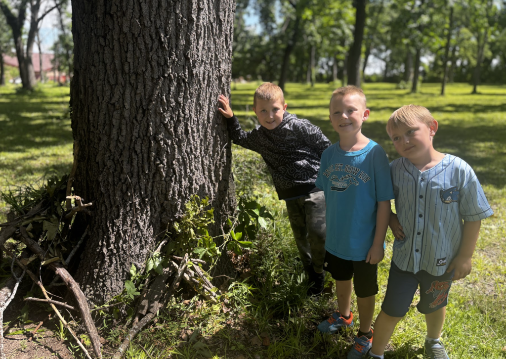 Summer Forestry 7