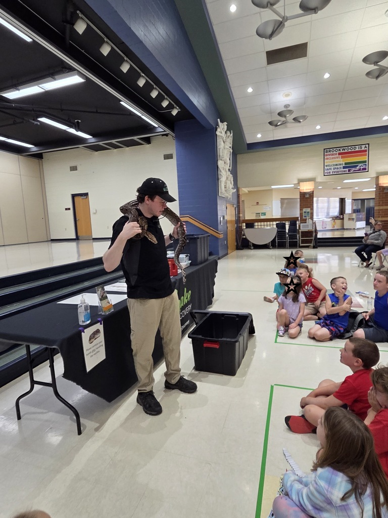 Reptile showcase 3