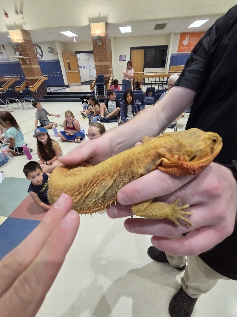 Reptiles
