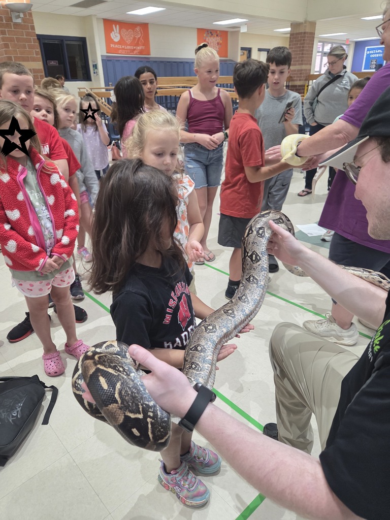 Studnets and reptiles 3