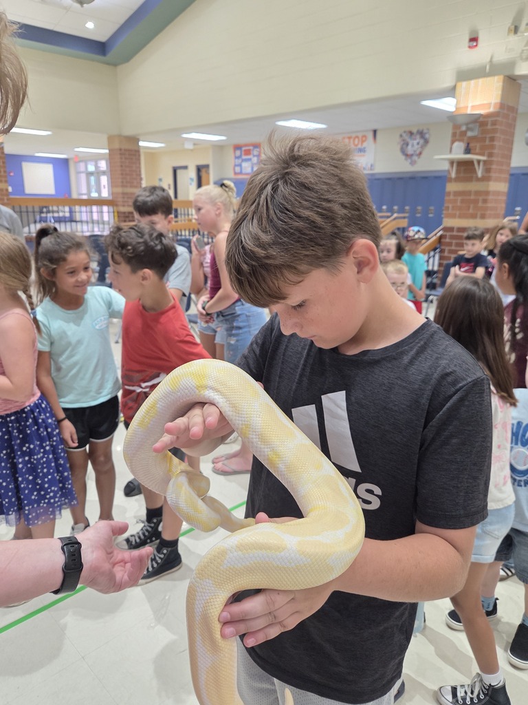 Students and reptiles 2