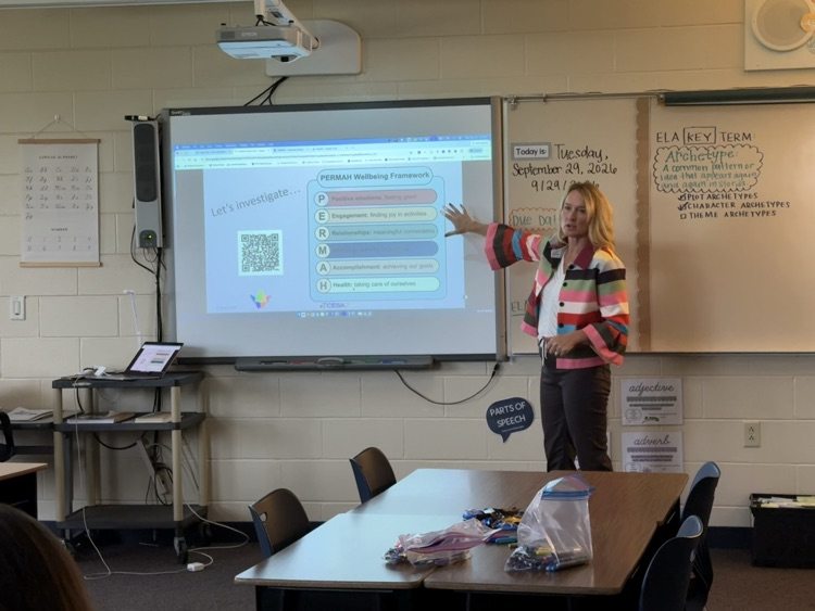 Professional Development 3