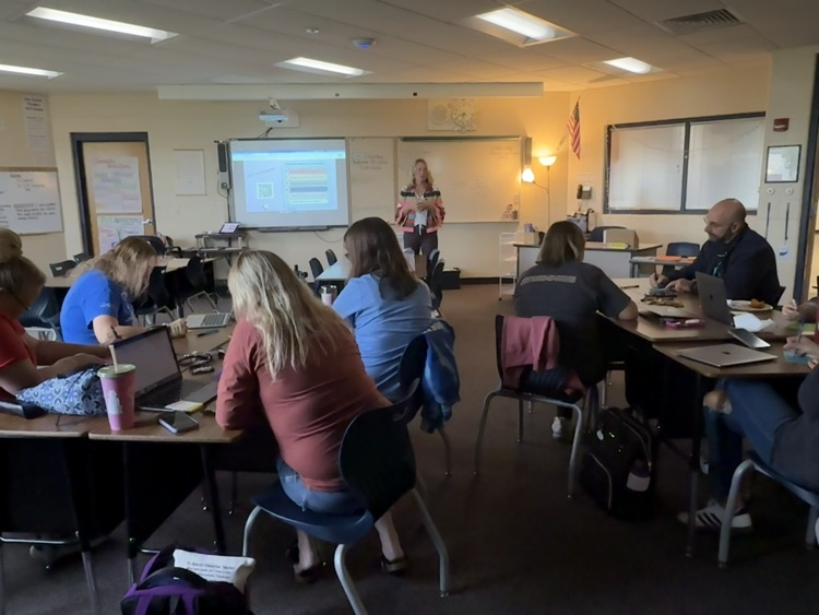 Professional Development 4
