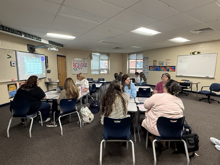 Professional Development 5