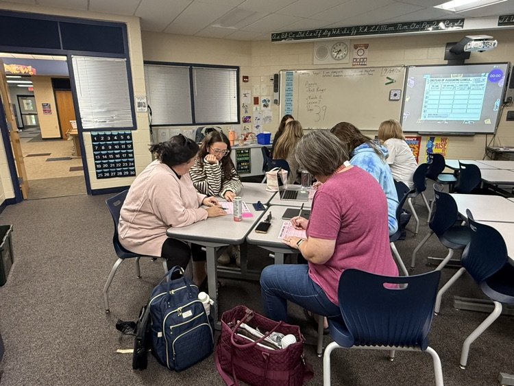 Professional Development 6