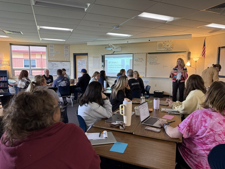 Professional Development 9
