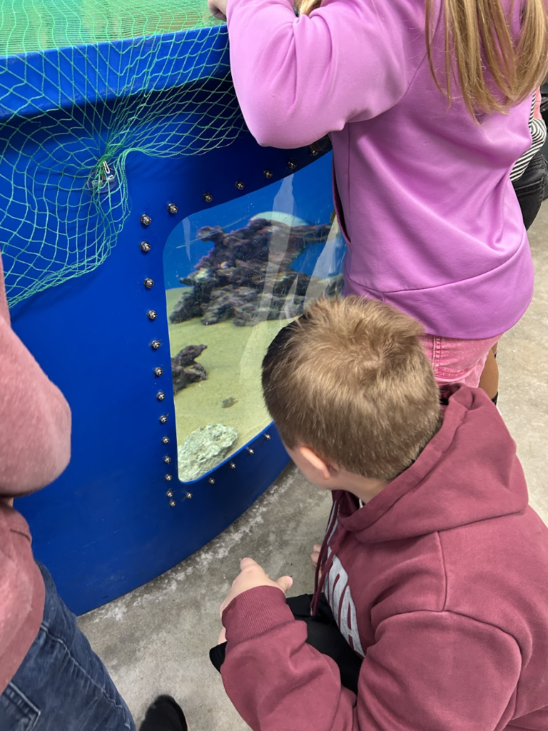Students looking into tanks at Ag Day at Badger