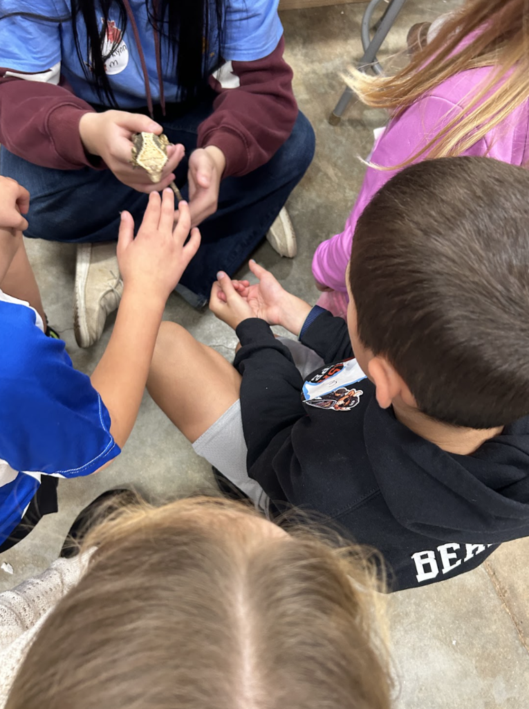Students touching a snake