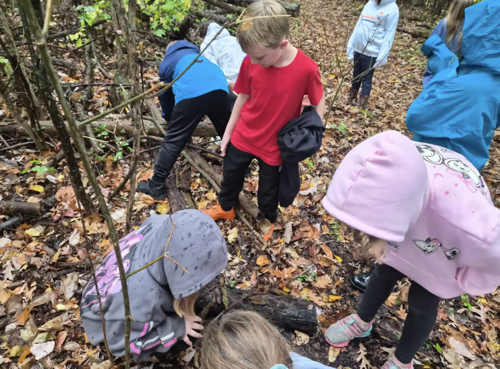 2nd graders in the forest