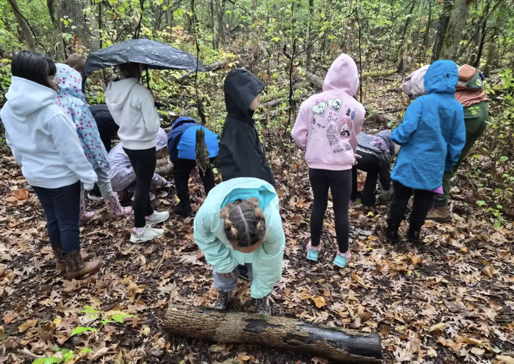 Students searching in the forest for bugs