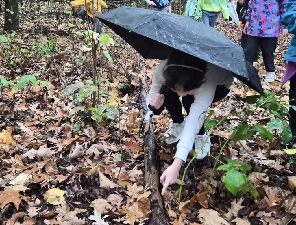 Student looking for bugs