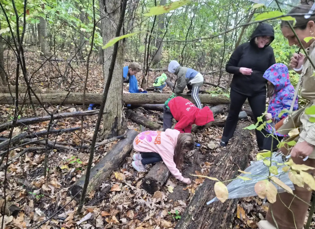 Students finding bugs in the forest