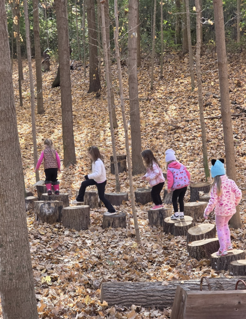 4k at Seno on log path