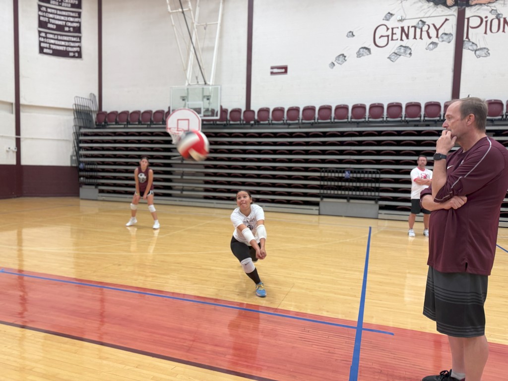 Volleyball