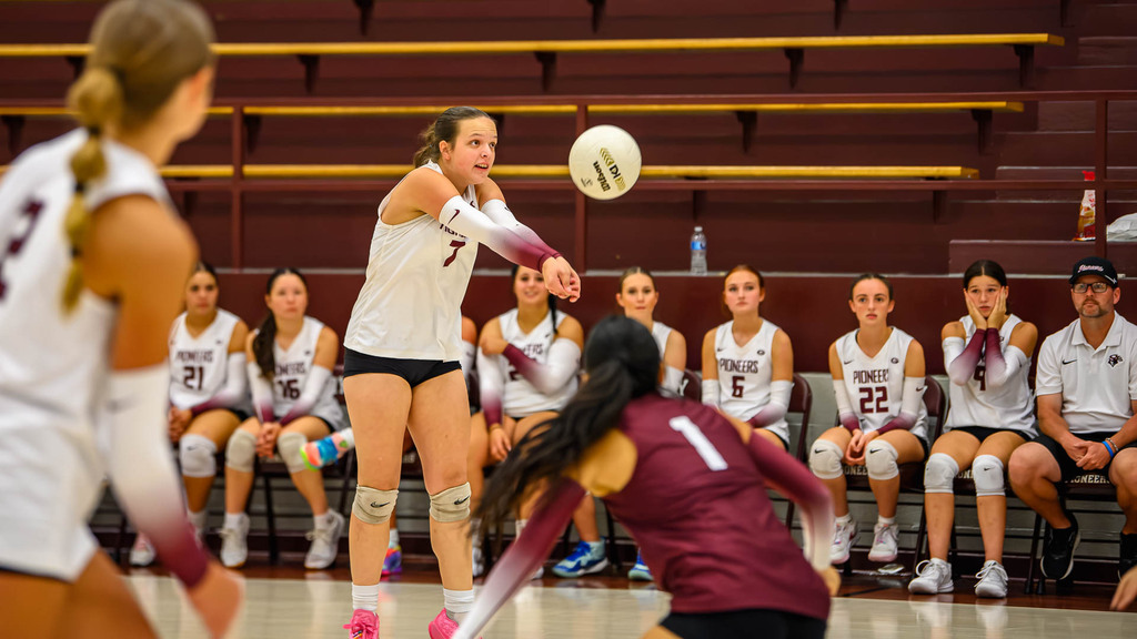 Volleyball