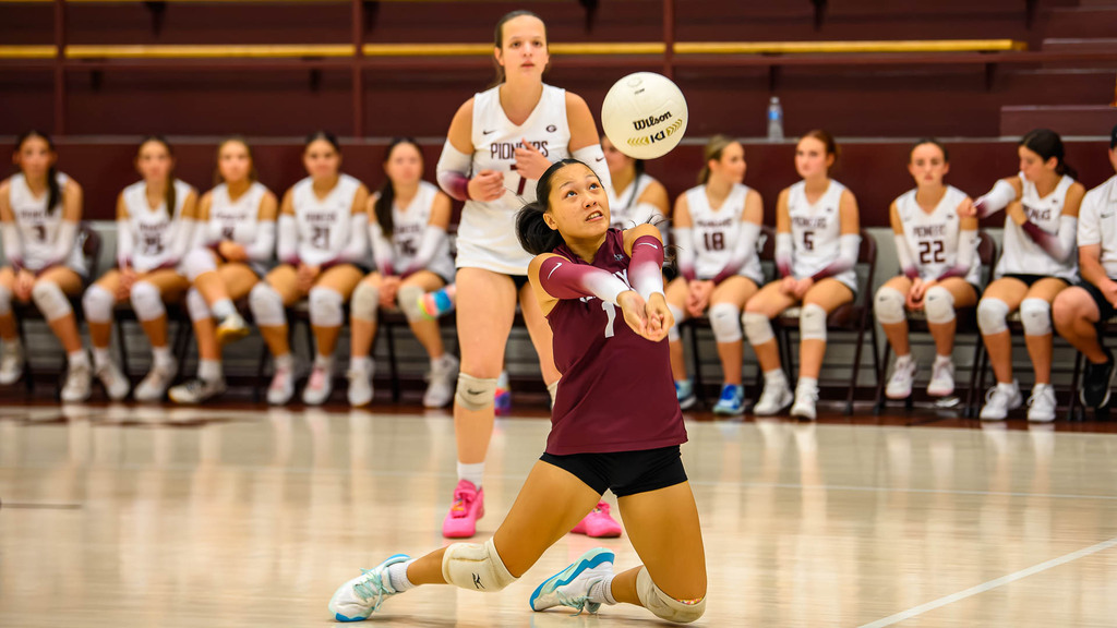 Volleyball