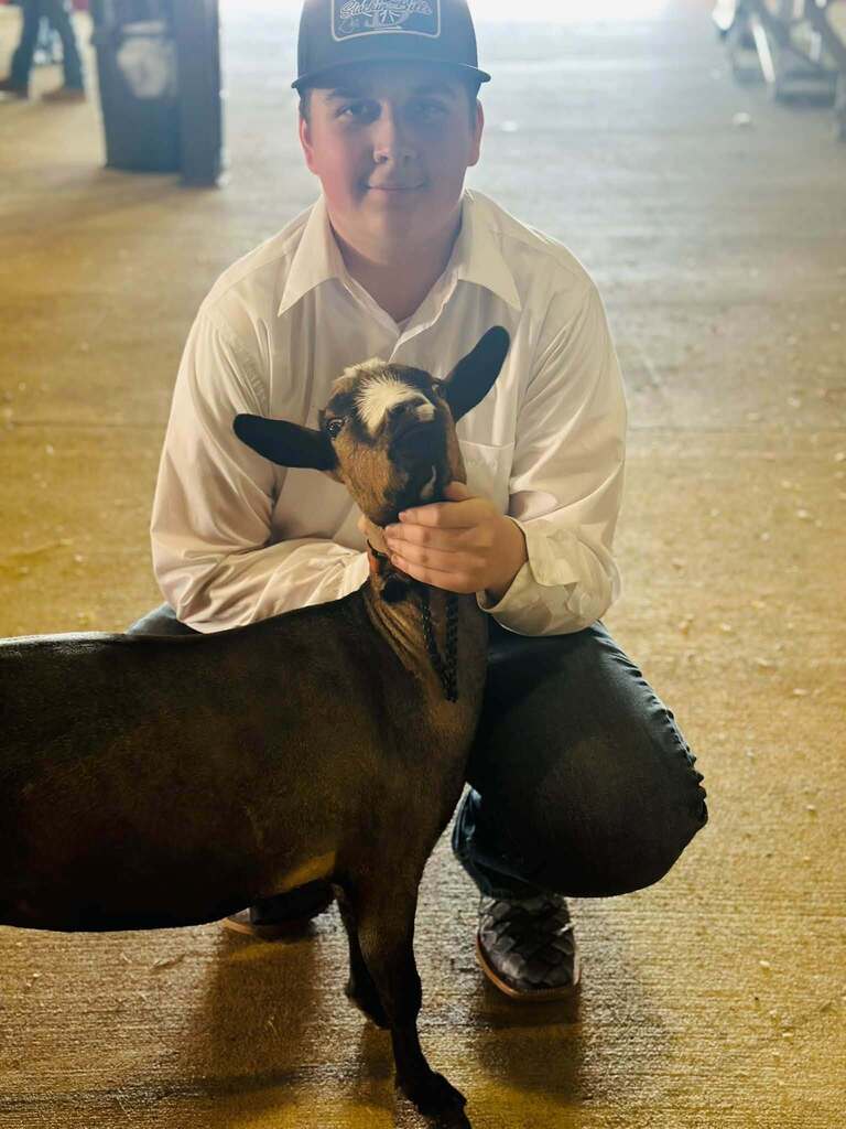BC Fair