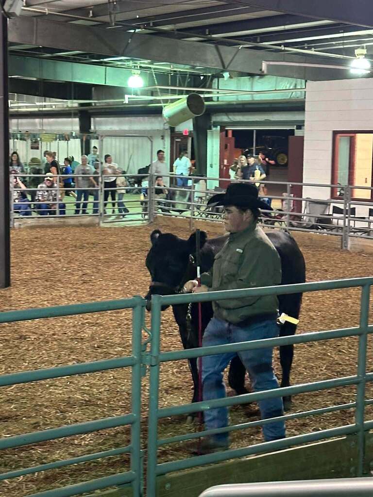 BC Fair