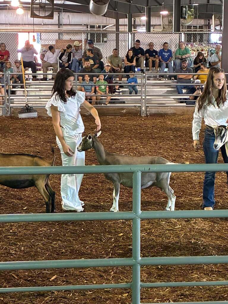 BC Fair