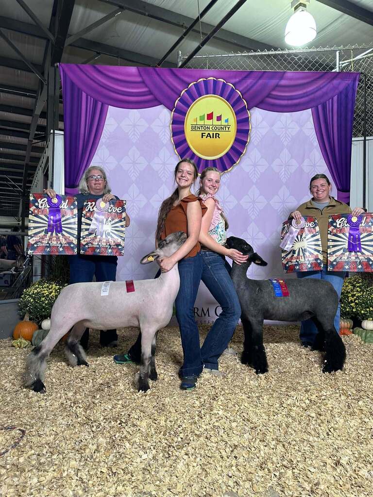 BC Fair
