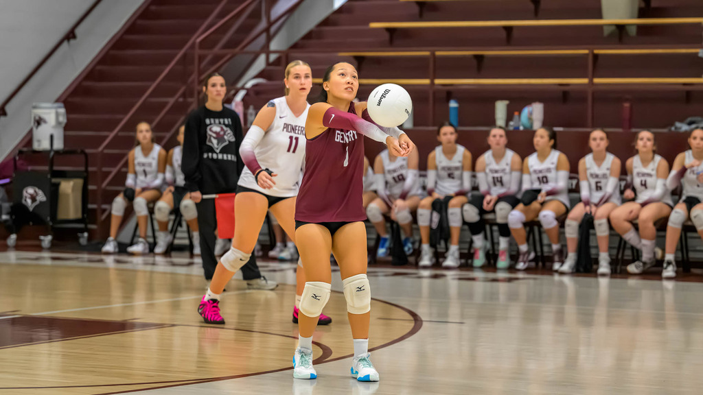 Volleyball