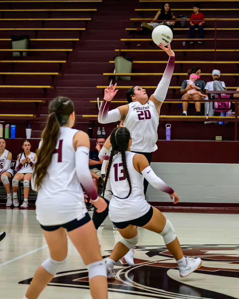 Volleyball