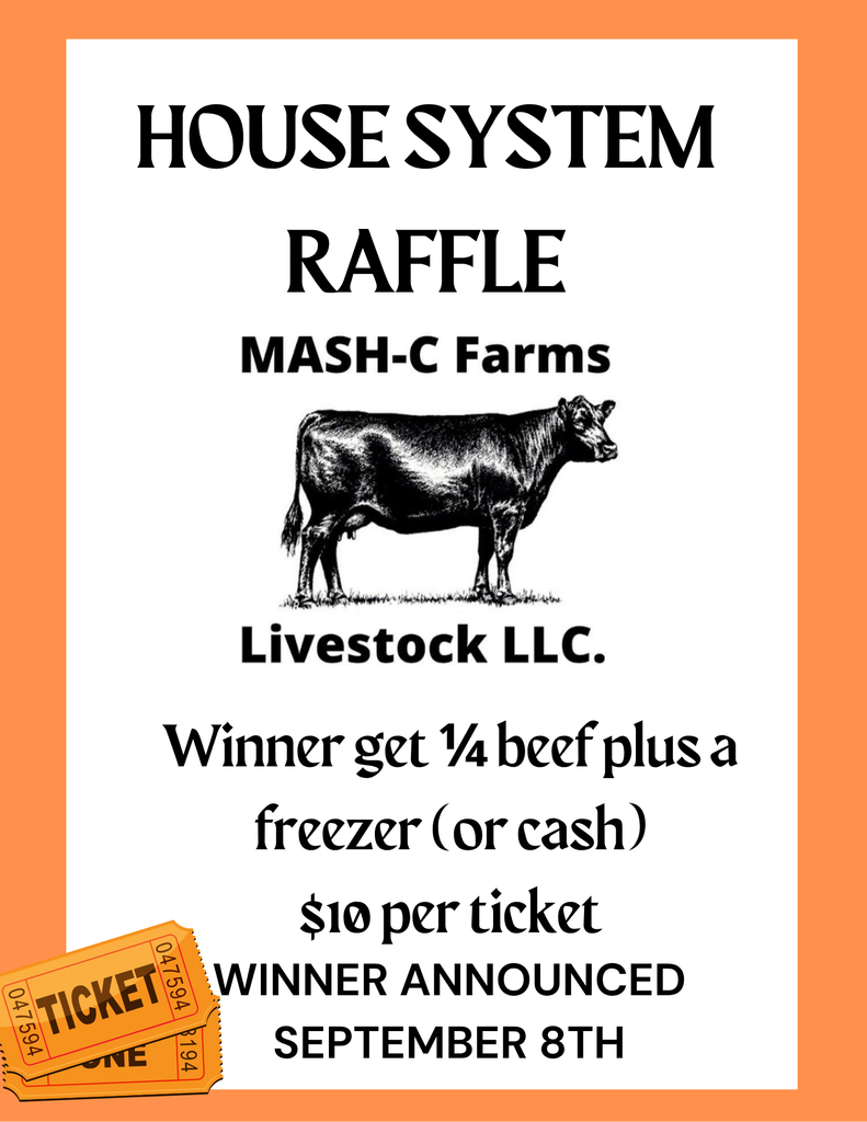 Raffle tickets flyer