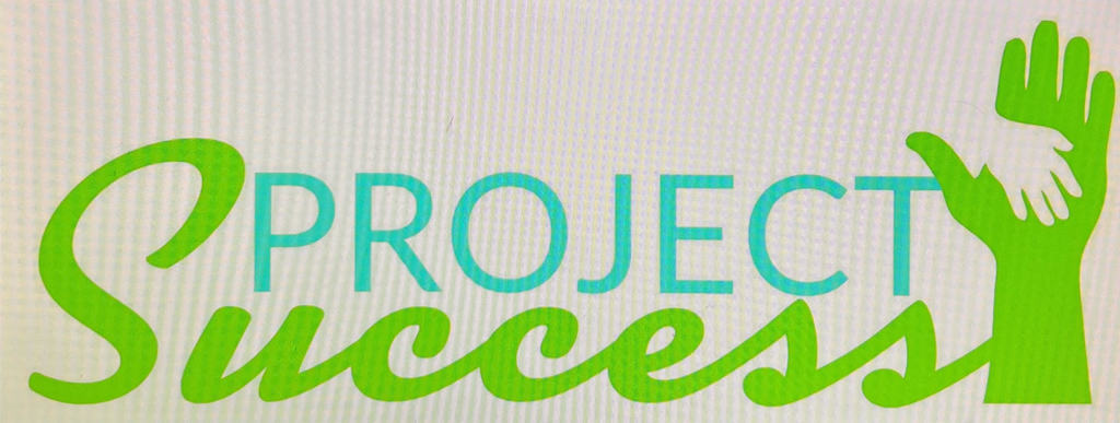 Project Success