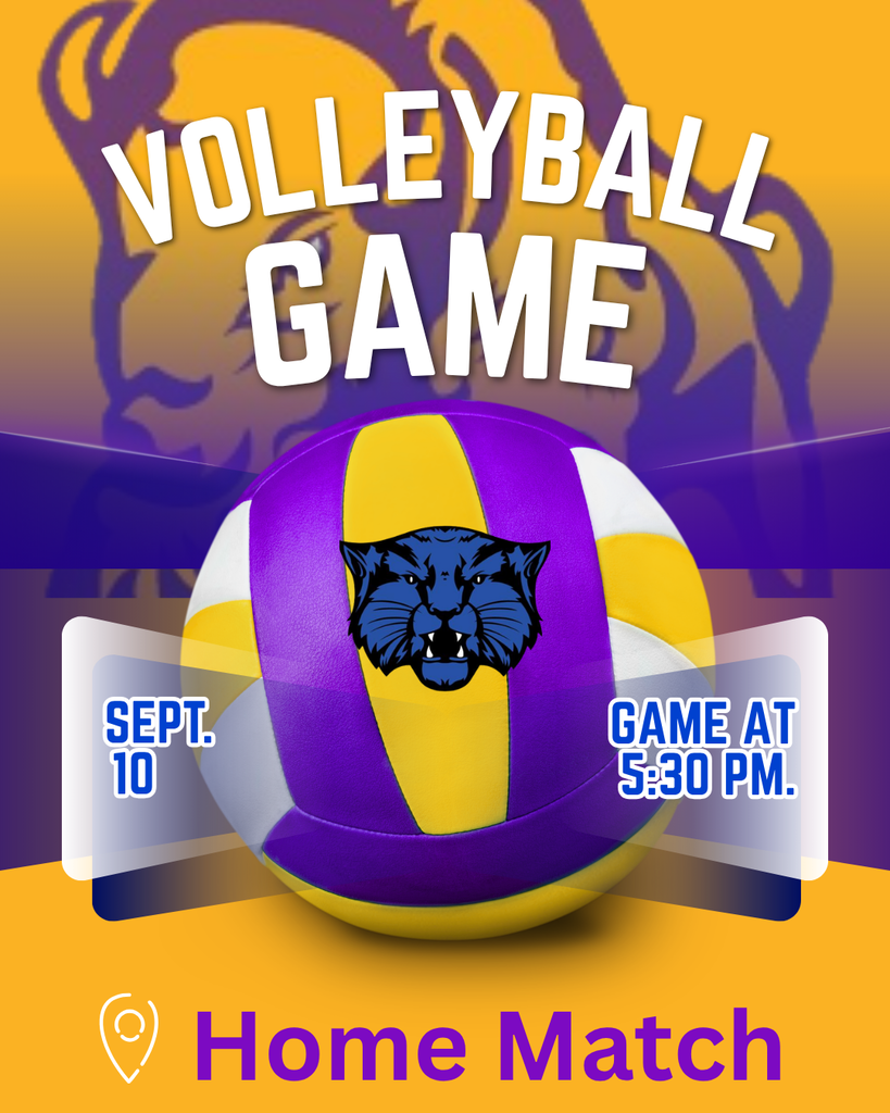 volleyball post