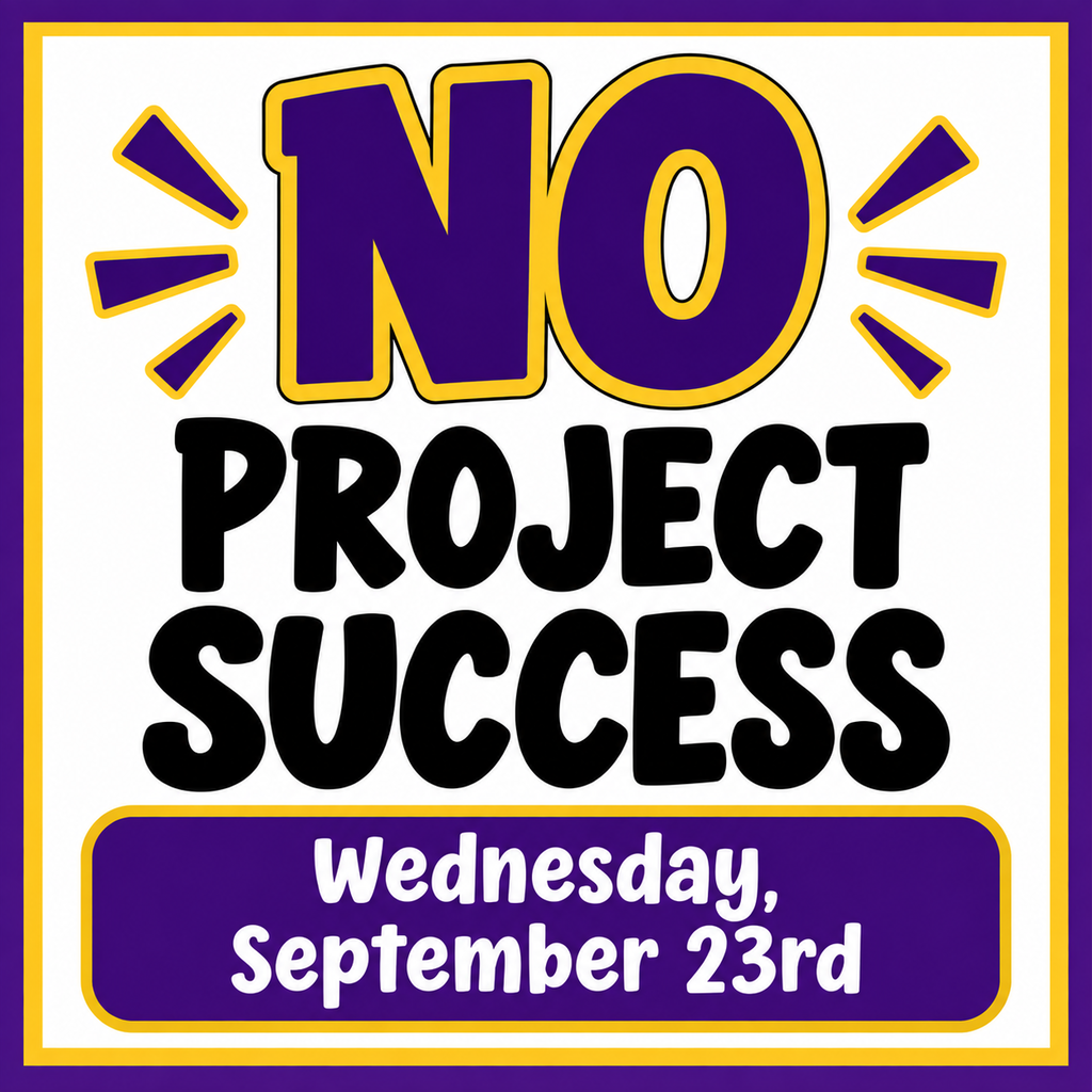 No Project Success