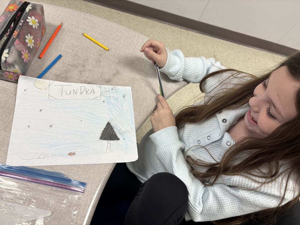 animals, environments