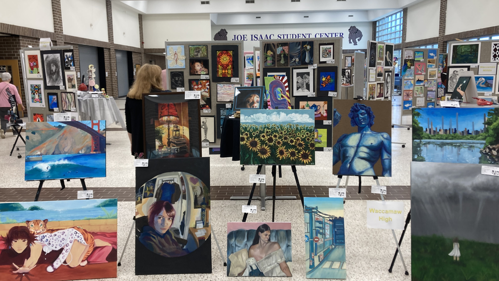 wide shot Art Show