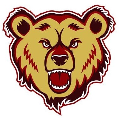 bear logo