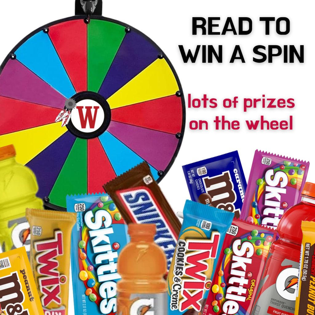 prize wheel plyer