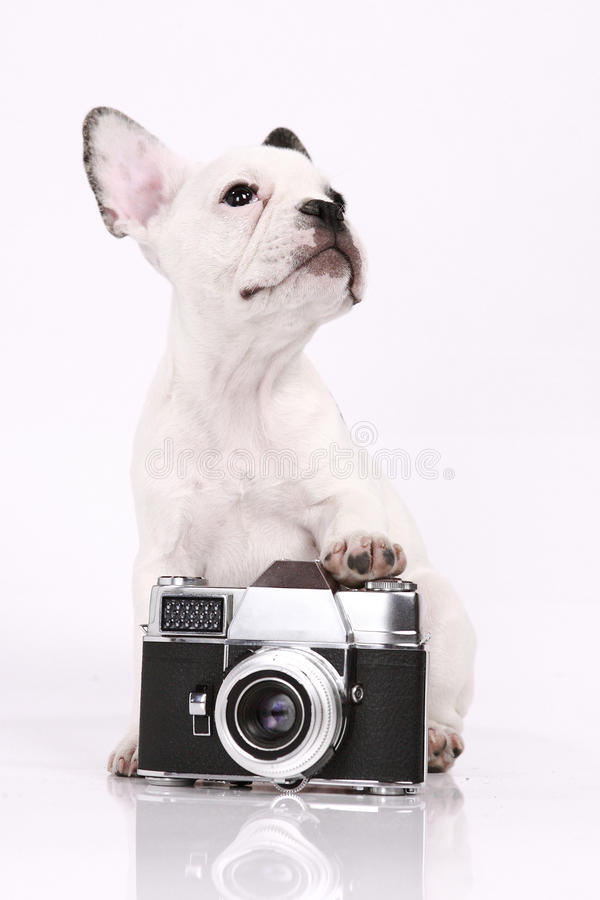 Underclassmen Make-up Pictures will be taken on Monday, October 20, during the school day. See your homeroom teacher if you have not received your picture proofs yet from the 1st day of pictures.