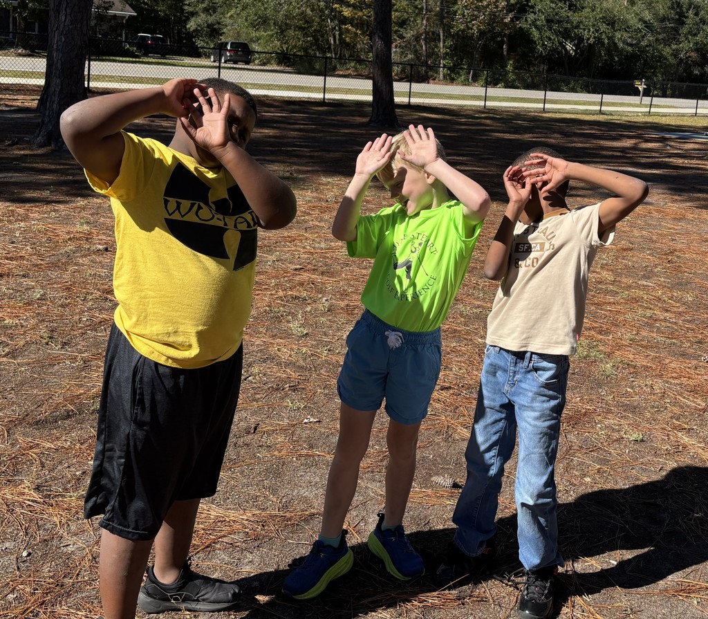 Three children stand outside under tall pine trees on a sunny day. They are wearing bright shirts and looking up at the sky with their hands shading their eyes.