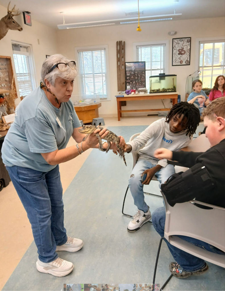 Seeing an alligator 1