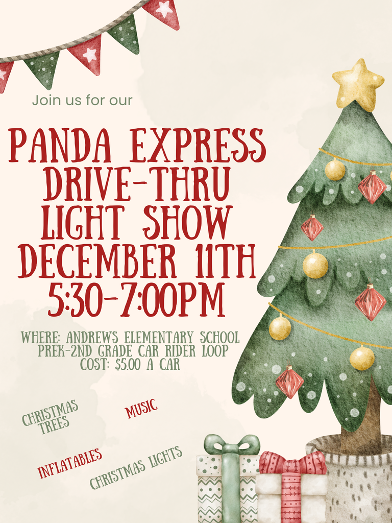 Panda Light Show Flyer