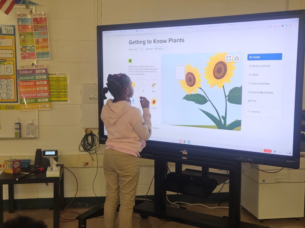 Discovery Ed Interactive