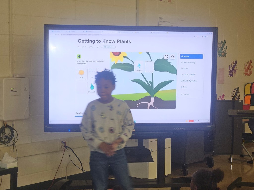 Discovery Ed Interactive