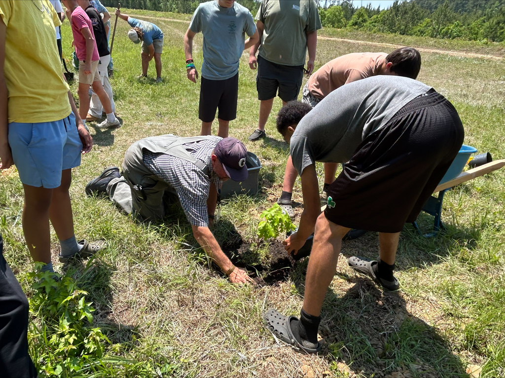 Arbor Day at GHS on Friday, April 24- Environmental and Natural Resources classes planted four native white oaks grown from acorns last fall. #CTE #ArborDay #GeorgetownBulldogs 